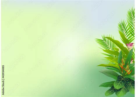 tropical forest background Stock Vector | Adobe Stock