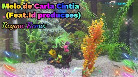 Melo De Carla Cintia Feat Id Producoes Reggae Remix Aquarium