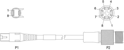 M12 Ethernet Connector Pinout Everything You Need To Know