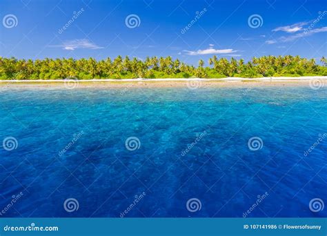 Tropical Beach Landscape Beautiful Blue Sea And Palm Trees And Blue