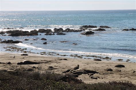 Pismo Beach // Hearst Castle & Elephant Seals (Part 2) | Aileen Barker