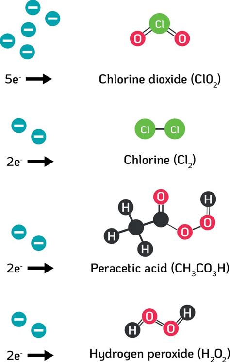 Chlorine Dioxide Mode Of Action On Viruses Tristel Australia English Tristel Australia