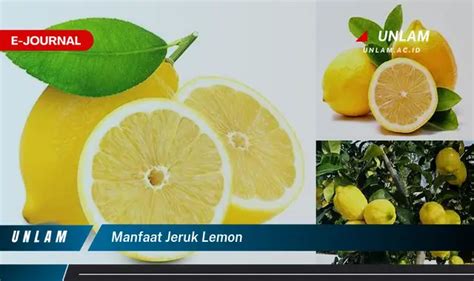 Temukan Manfaat Jeruk Lemon Yang Bikin Penasaran