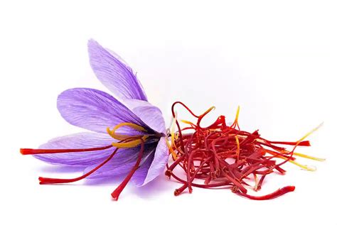 Saffron What Exactly Is It And What Can You Use It For