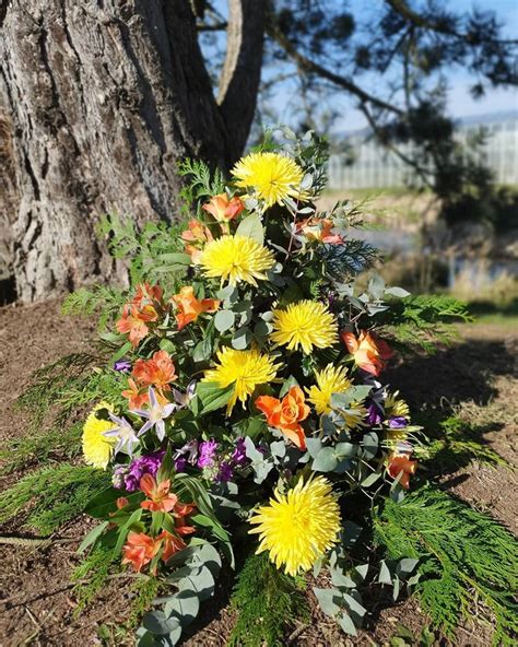 0 gilla markeringar 0 kommentarer Lilla Hults Blommor o Trädgård