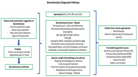 Insights Into Personalised Medicine In Bronchiectasis