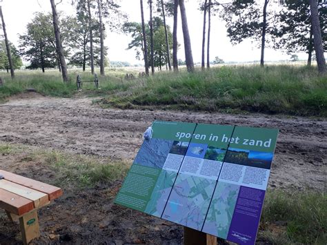 Sporen In Het Zand Archeologisch Beleefpunt