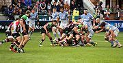 Category:Players of Saracens F.C. - Wikimedia Commons