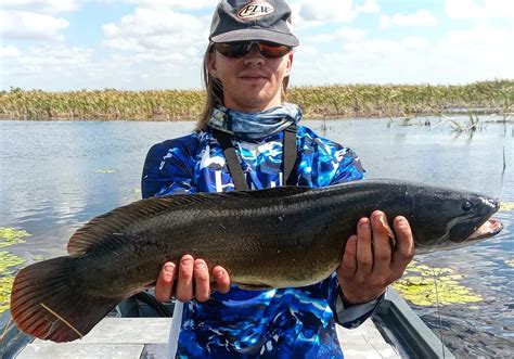 Presque Isle Bay Fishing Reports Erie Pa United States Fishing