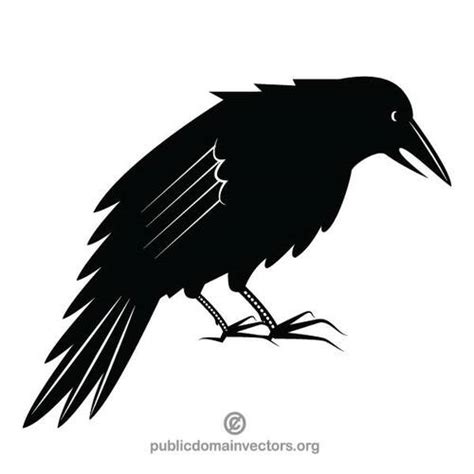 Black crow | Public domain vectors