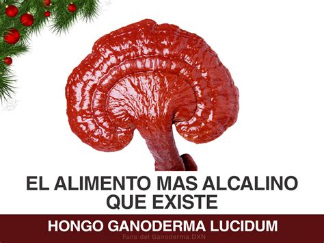 QUE ES EL GANODERMA LUCIDUM Dxn Salud y Nutrición