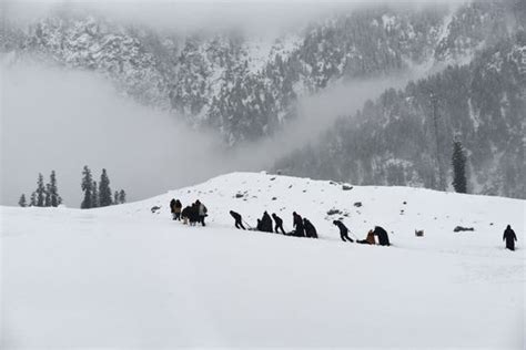 Tourists Sonamarg After Fresh Snowfall On Editorial Stock Photo - Stock ...