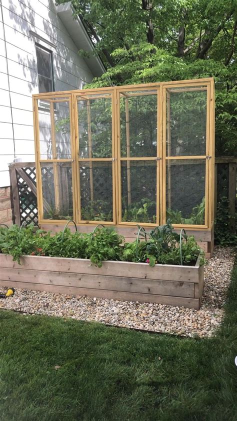 Herbs That Grow In Partial Sun At Richard Donahue Blog