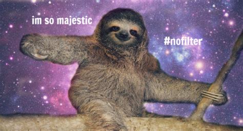 space sloth on Tumblr