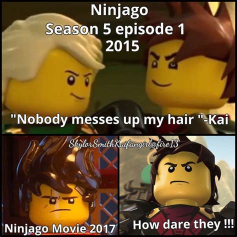 43 Best Ninjago Memes Images On At The Top SG MiniFigures