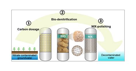 Resilient Nitrate Removal By A Biological Nitrate Selective Ion