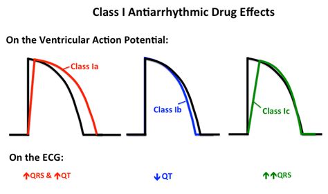 Cardiac Action Potential And ECG