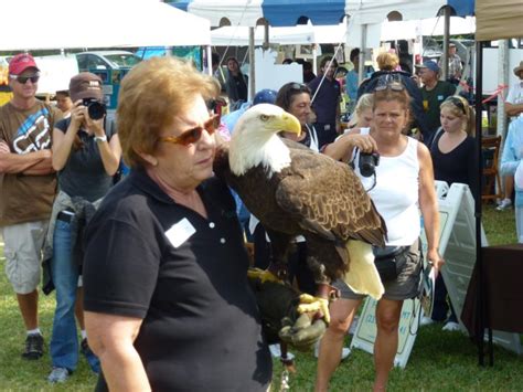 2025 Burrowing Owl Festival Cape Coral Friends Of Wildlife