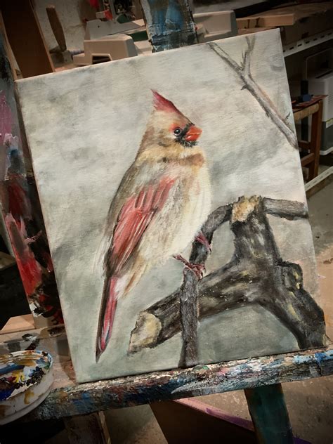 Female cardinal | Artwork, Painting, Art