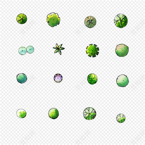 植物平面树拍psd素材免费下载 觅知网