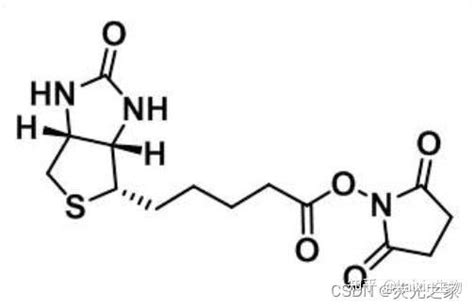 Biotin Nhs Ester N D Cas