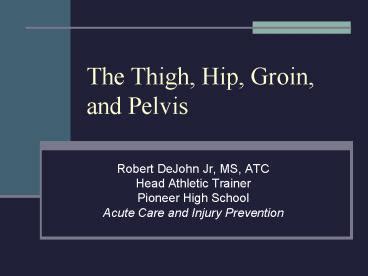 PPT The Thigh Hip Groin And Pelvis PowerPoint Presentation Free