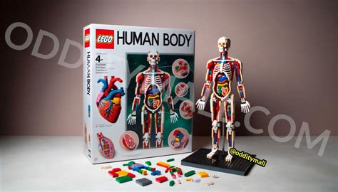 LEGO Human Body MOC ExpoPiezas LEGO Barcelona 2020, 48% OFF