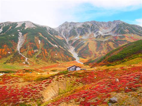 summer autumn  day tateyama kurobe  walking   roof