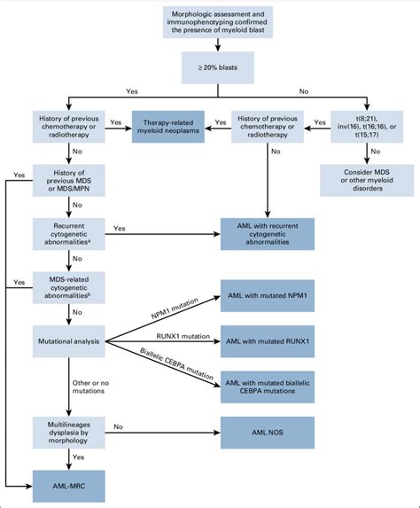 Diagnosis And Management Of Aml In Adults 2022 41 Off