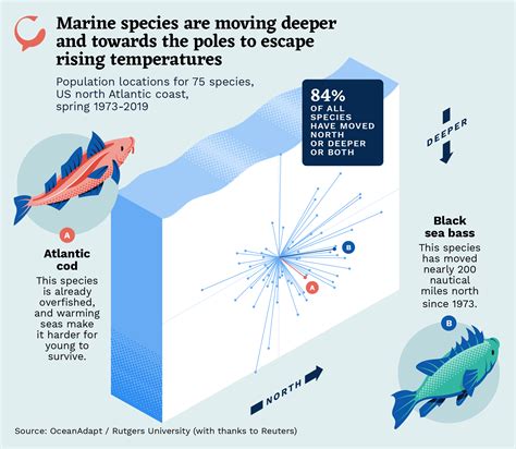 How does rising temperatures affect fish? [2025] | QAQooking.wiki