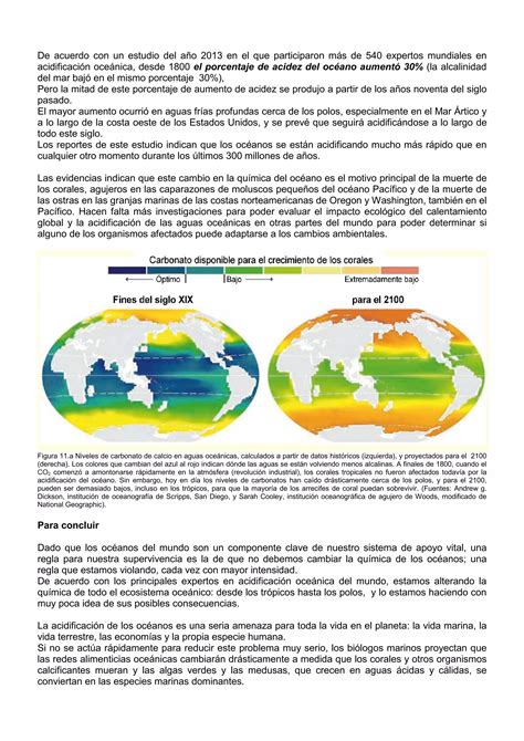 Acidificacion De Los Oceanos Pdf