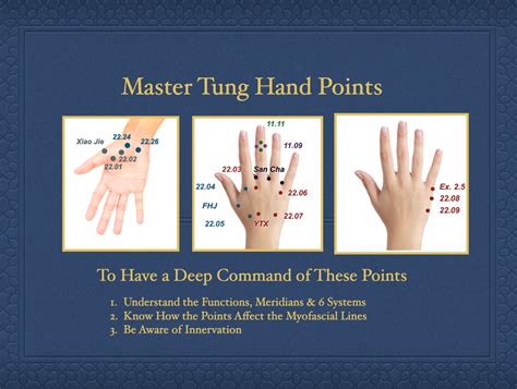 Master Tung Hand Points