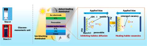 Nature Photonics 报道北京大学周欢萍组及合作者在钙钛矿太阳能电池稳定性方面的重要进展 生物通