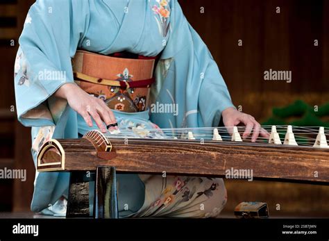 woman wearing kimono playing  koto japanese harp string instrument