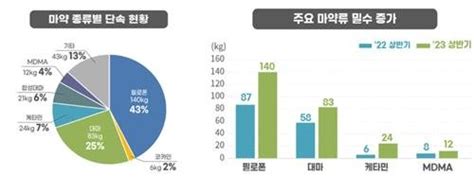 상반기 마약밀수 505만명 투약분 329㎏ 적발역대 최대 파이낸셜뉴스