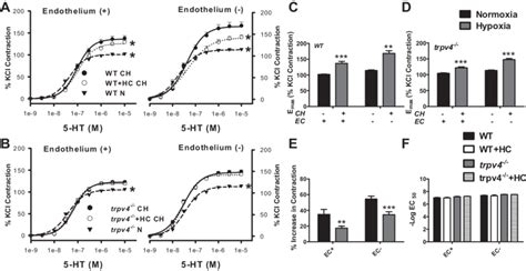 Serotonin Induced Concentration Dependent Contractile Responses In Ec