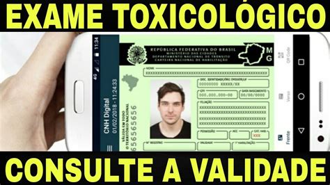 Como Consutar A Validade Do Exame Toxicol Gico Youtube