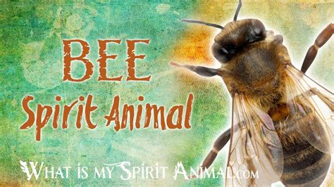 Bee Spirit Animal Bee Totem And Power Animal Bee Symbolism And Meanings