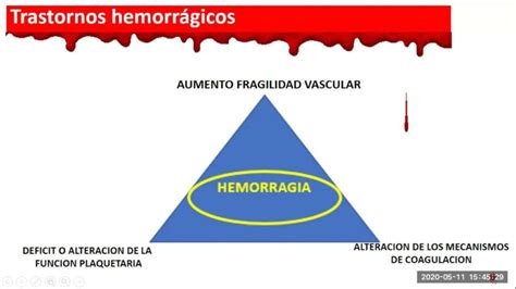 Trastorno Hemorr Gico Qu Es La Enfermedad De Von Willebrand Tras