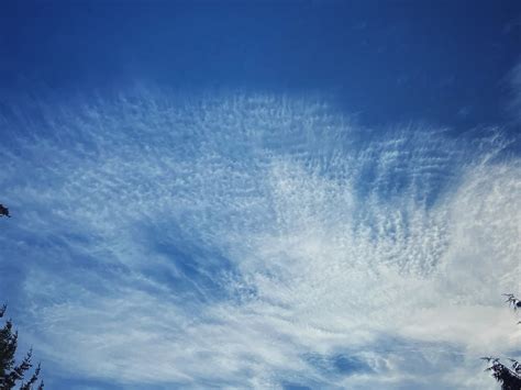 Cirrocumulus Stratiformis Undulatus Transitioning Into Cir Flickr