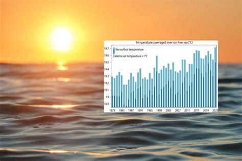 Oceani bollenti registrate le temperature più alte di sempre per il