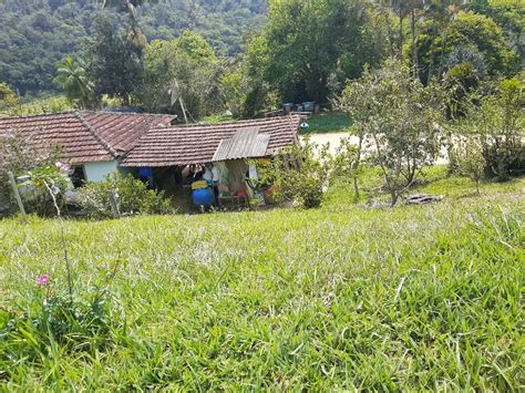 Fazenda Sítio 450000 m² em Centro em Natividade da Serra por R 1 000