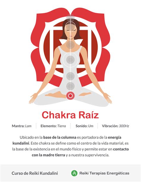 Curso De Reiki Kundalini Clases E Iniciaciones Privadas En Vivo