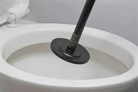 Plunger toilet Stock Photos, Royalty Free Plunger toilet Images ...