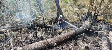 Waldbrandgefahr Im Bezirk Feuerwehr Hat Tipps So Verhalten Sie Sich