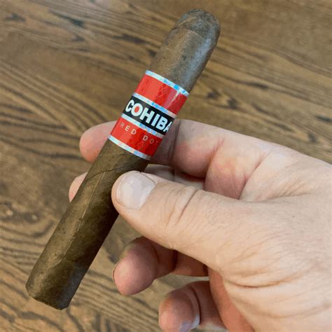 Cohiba Red Dot Robusto Review Scotch And Cigars