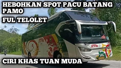 NPM TUAN MUDA HEBOHKAN SPOT PACU BATANG PAMO CIRI KHAS TELOLET NYA