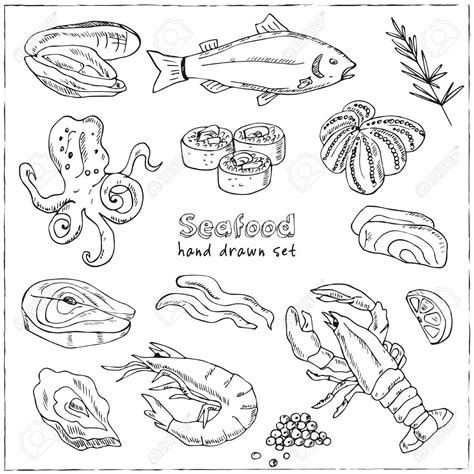 Shellfish Drawing At Explore Collection Of