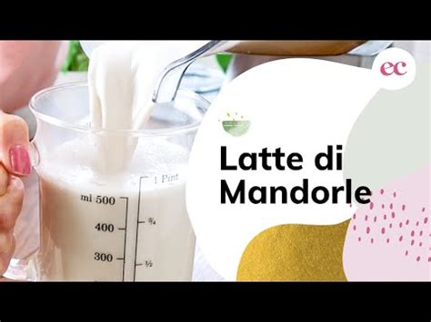 La Guida Definitiva Su Come Fare Il Latte Di Mandorla Senza Zucchero