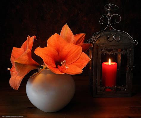 Flowers And Candle Lights Wallpapers - Wallpaper Cave